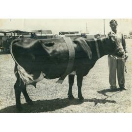 Photo Samuel Darracott