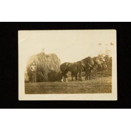 Harvesting At Gower's Farm 