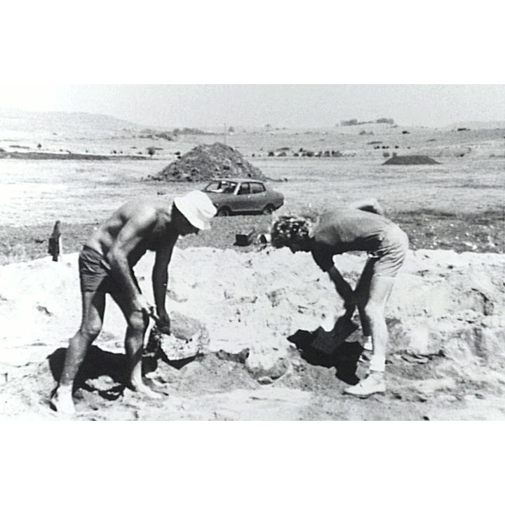 Shellharbour Golf Course