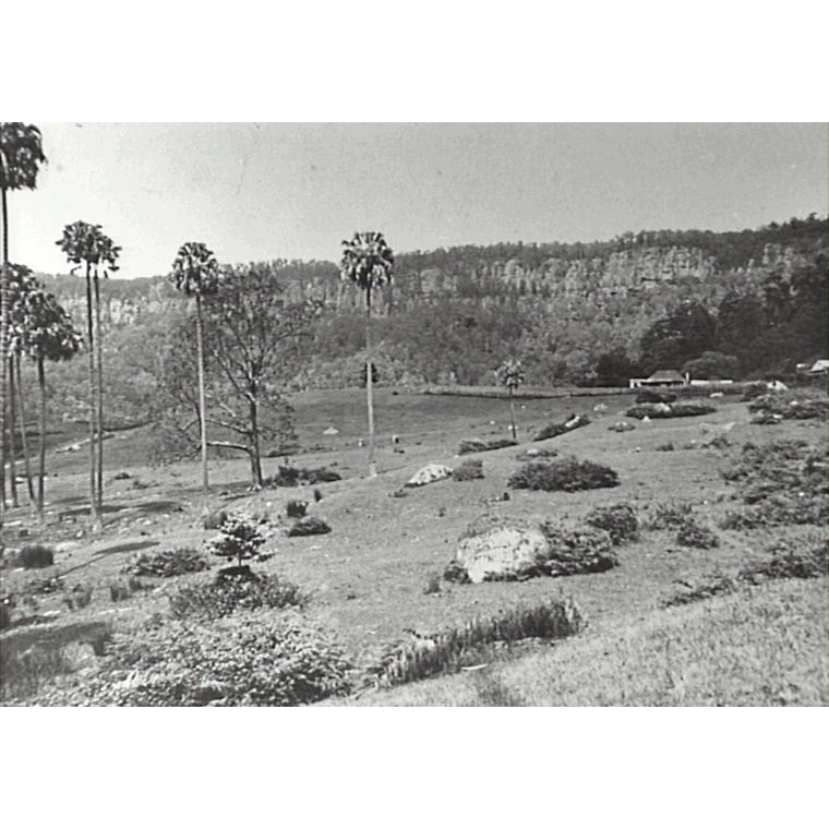 Clover Hill