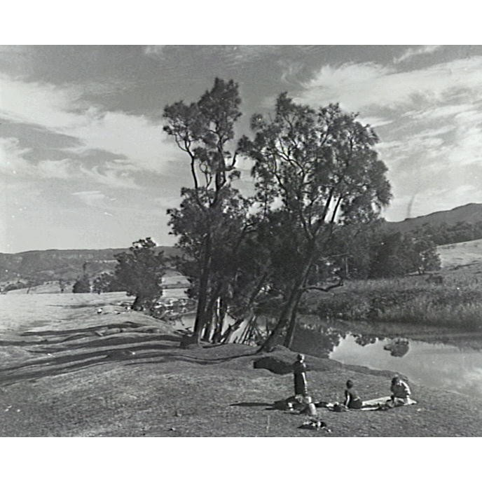 Darcy Dunster Reserve