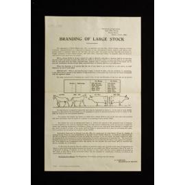 Branding Iron Registration Papers