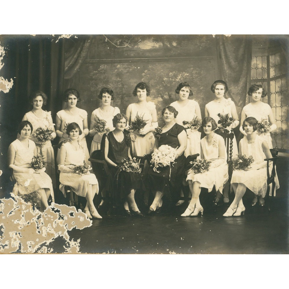 Gear Family Collection