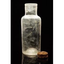 Shellharbour Temperance Hall Time Capsule