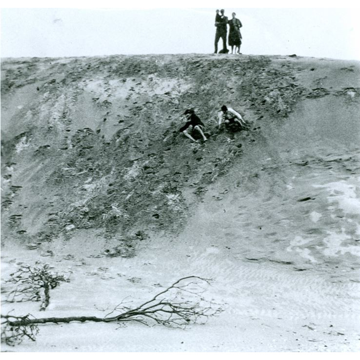 Mining - Sand and Reclamation