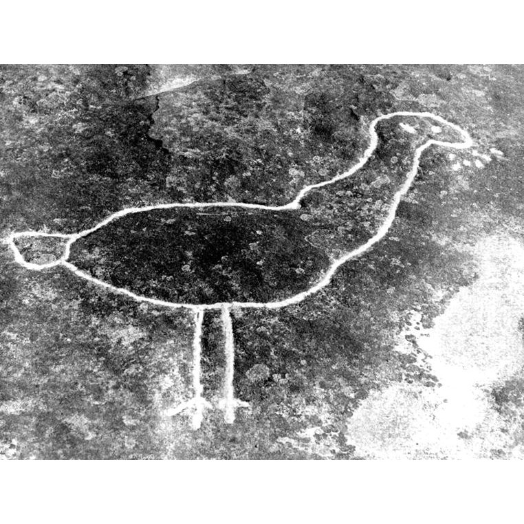 Dharawal Language