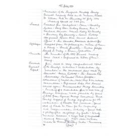 Minutes AGM 19940728