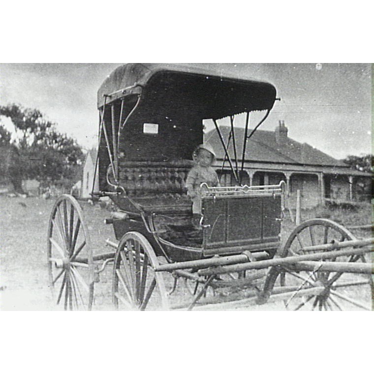 Brushgrove