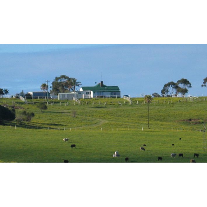 Kurrawong