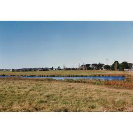 Pond Near Boles' Meadows