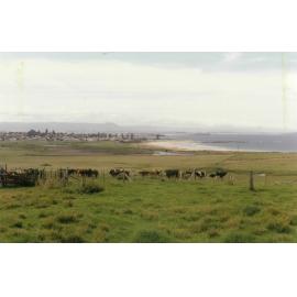 Shellharbour Swamp and South Beach