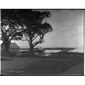 The Breakwater at Shellharbour