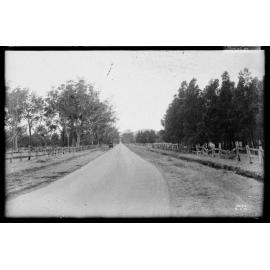 Telegraph Road Deviation