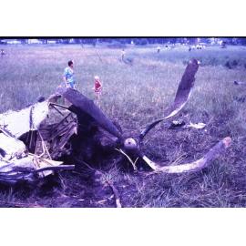 Bristol Freighter Crash, Albion Park Rail