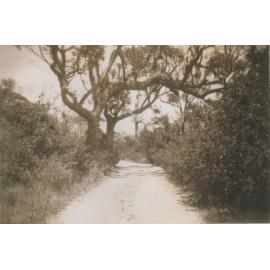 Bass Point Road, Shellharbour