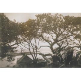 Shellharbour Harbour 