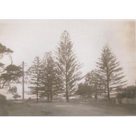 Addison Street, Shellharbour