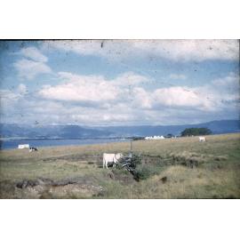 Church of Christ Youth Camp