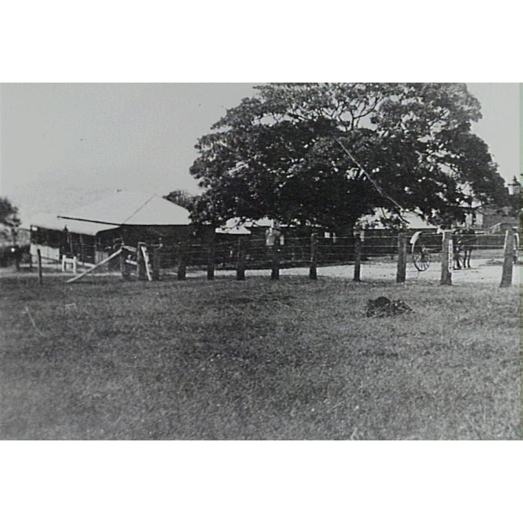 Mercer, Campbell