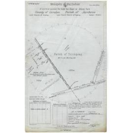 Plan of Land Resumed for Night Soil, Albion Park, Parish Jamberoo, County Camden