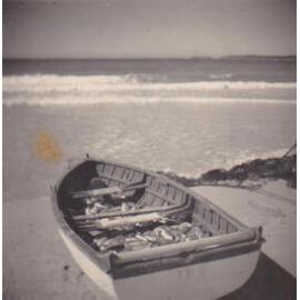 Blackfish at South Beach