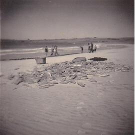 Blackfish at South Beach