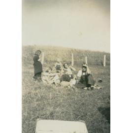 Ferreting at Albion Park