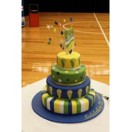 Shellharbour Sesquicentenary Civic Reception