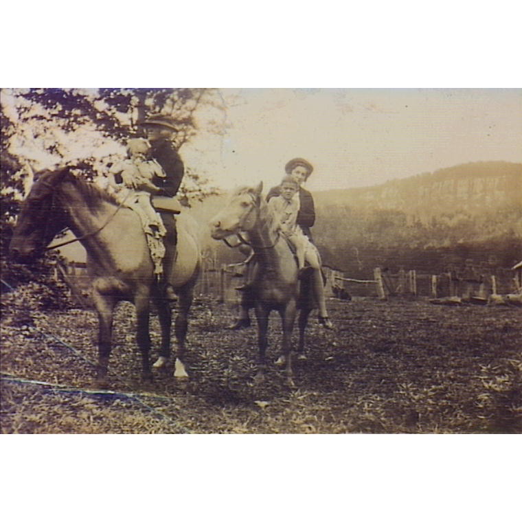 McGill, Lily