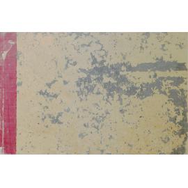 Shellharbour Municipal Council General Fund Ledger 1924-1935