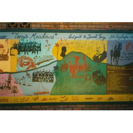 Albion Park Heritage Mural