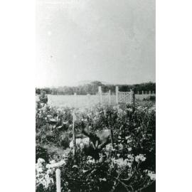 The McIlquham Family Garden