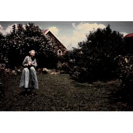 Ellen Frances Leek Arnold