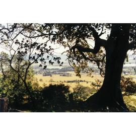 View from Dunster's Lane to Lake Illawarra