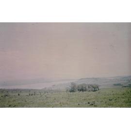 View from Stoney Range to Mount Warrigal
