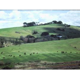 'The Hill' and 'St Ives' Farms