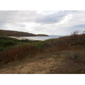 Plaque to the Memory of Edward Killalea