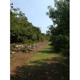 Killalea State Park Dry Stone Wall