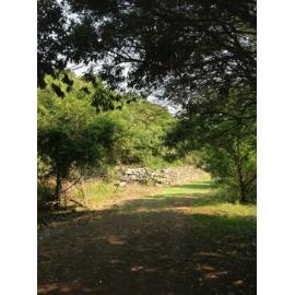Killalea State Park Dry Stone Wall