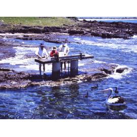 Fish Cleaning Station, Shellharbour Harbour
