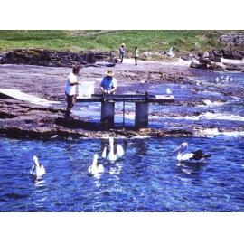 Fish Cleaning Station, Shellharbour Harbour
