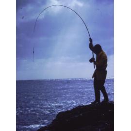 Fisherman at Shellharbour