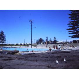 Shellharbour Pool