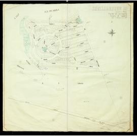 Shellharbour 19 Central Ward Map