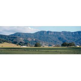 Swan's Farm, Yellow Rock