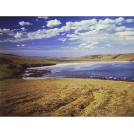 The Farm - Killalea Beach