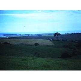 View from Dunster's Hill (The Hill) to Bass Point