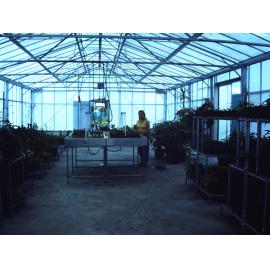 Shellharbour Municipal Council Nursery