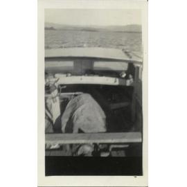 Motor Launch "Judy" on Lake Illawarra