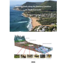 Intertidal Shells along the Illawarra Coastline; an Illustrated Guide 